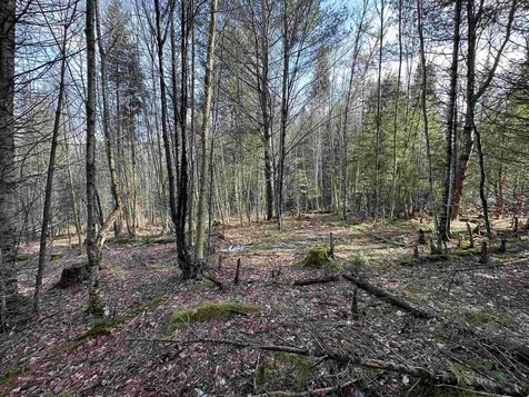 Lot 109 Steeple View Drive Bethlehem NH 03574
