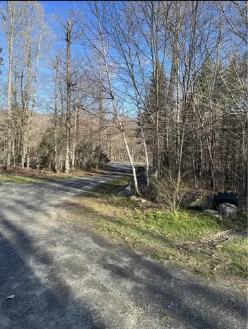 288 Us Route 302 Topsham VT 05086