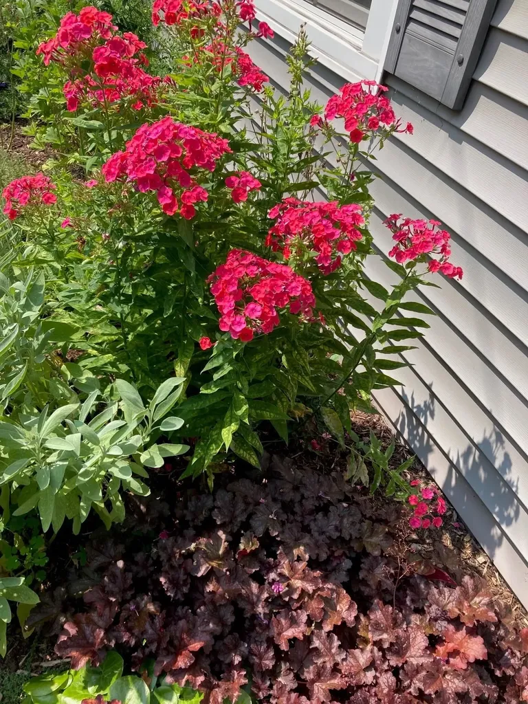 947 Pine Street Burlington VT 05401