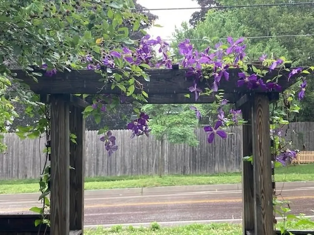 947 Pine Street Burlington VT 05401