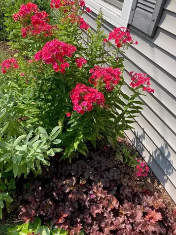 947 Pine Street Burlington VT 05401