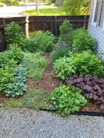 947 Pine Street Burlington VT 05401