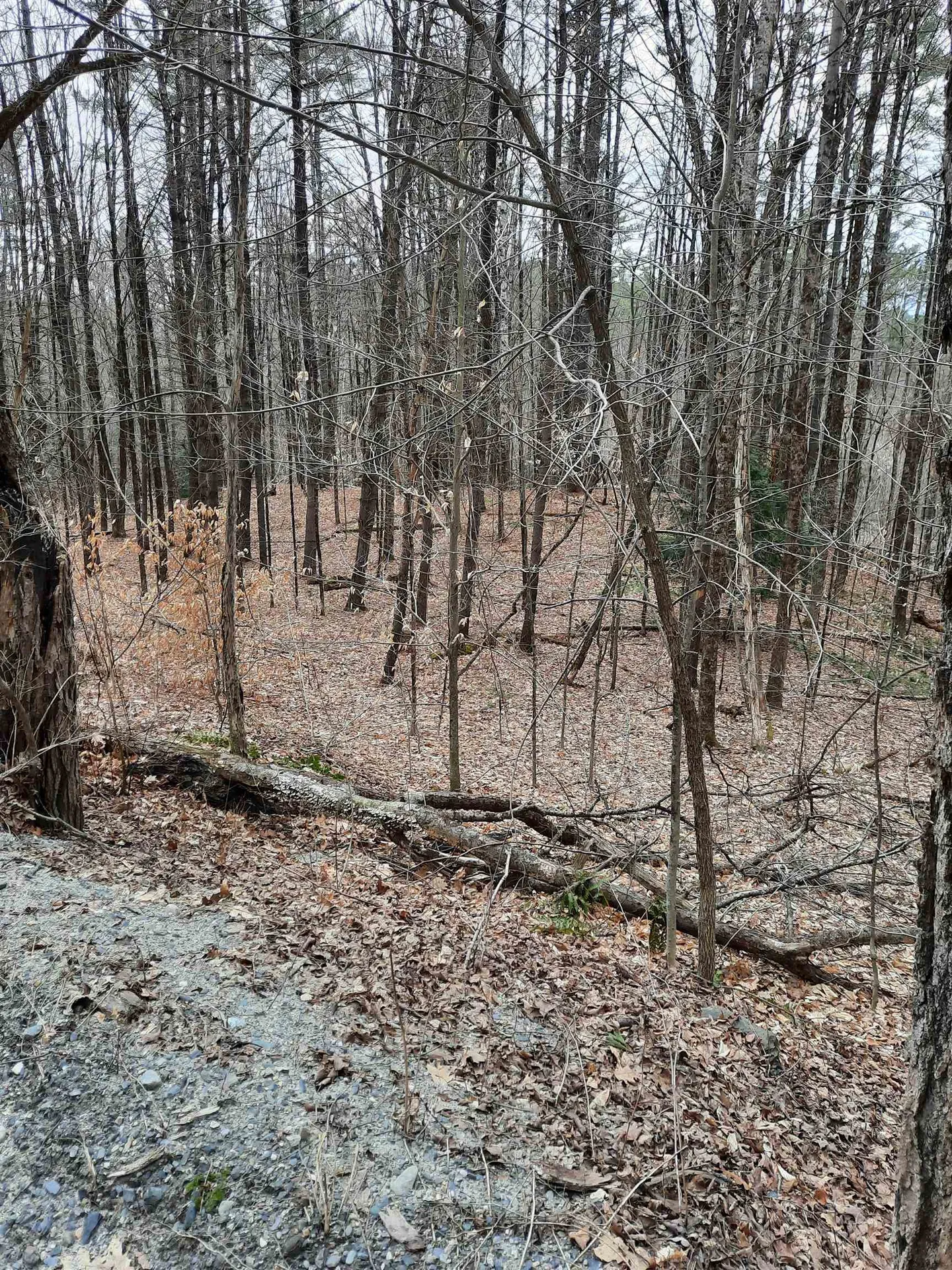 2 Parsonage Road Cornish NH 03745