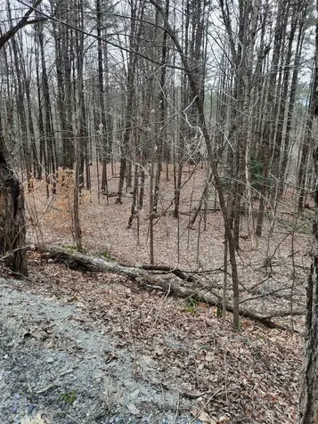 2 Parsonage Road Cornish NH 03745