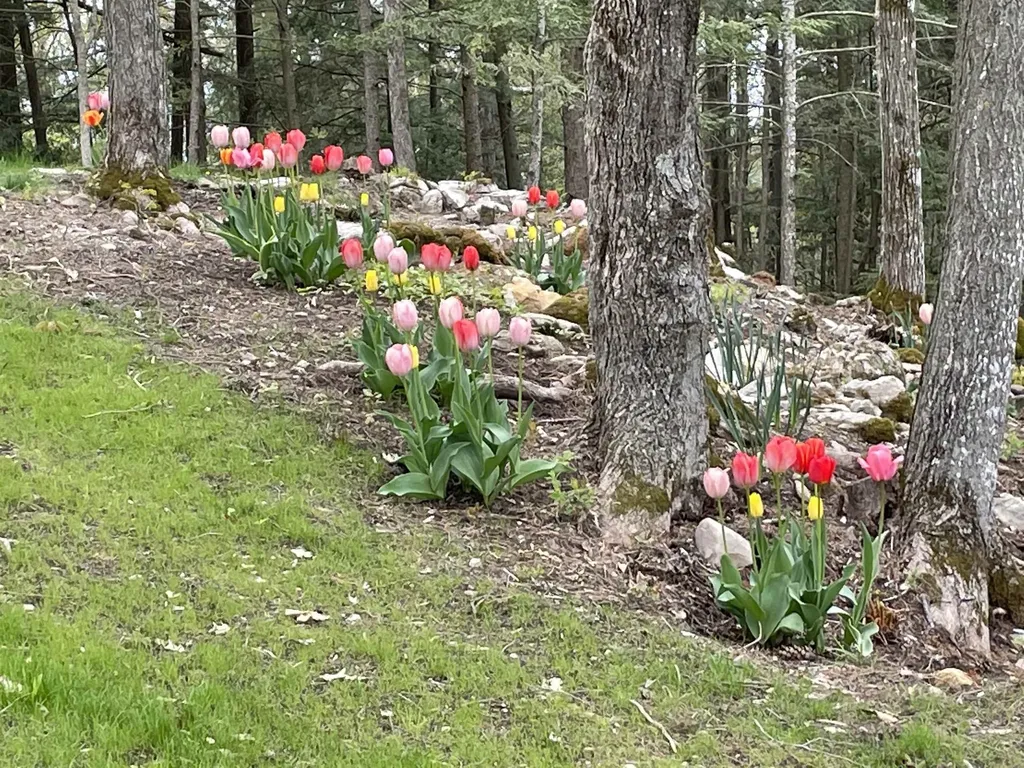 836 Beaver Creek Road Shelburne VT 05482