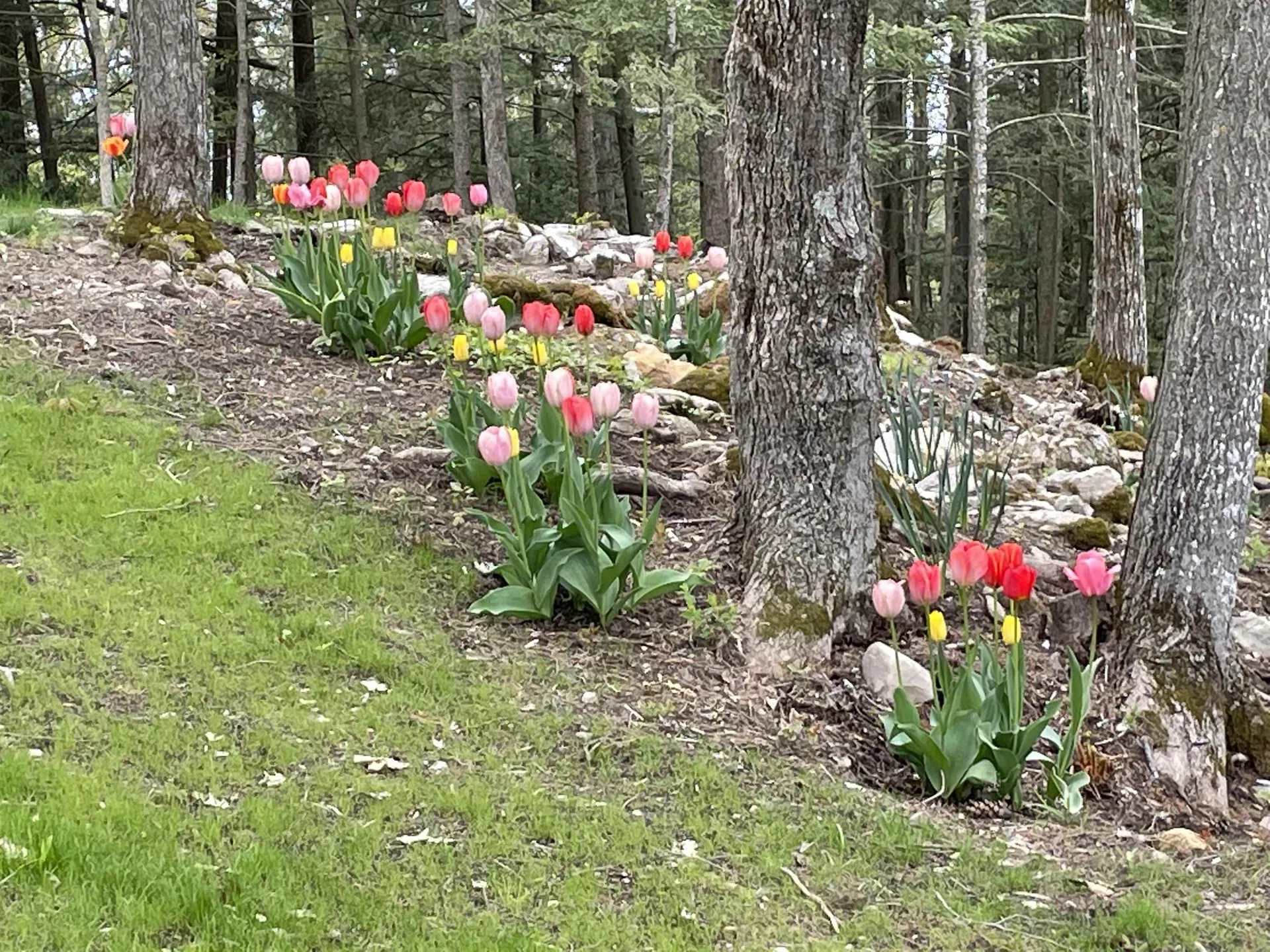 836 Beaver Creek Road Shelburne VT 05482