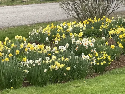 836 Beaver Creek Road Shelburne VT 05482