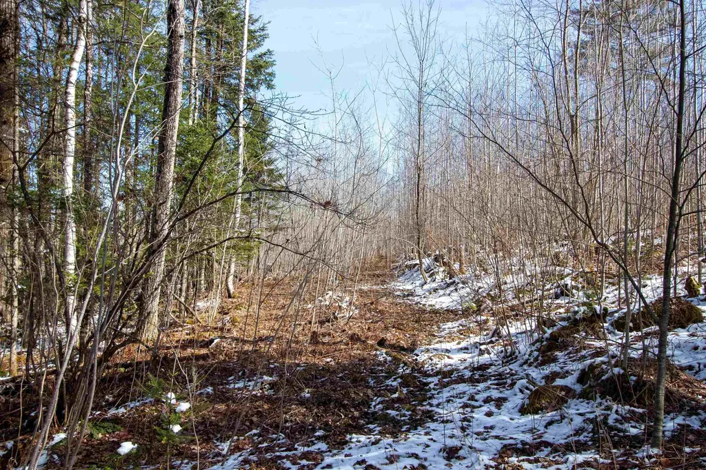 00 Long Hill Road Concord VT 05824