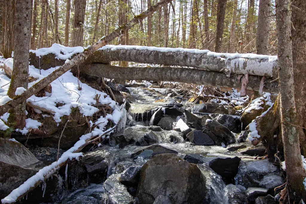 00 Long Hill Road Concord VT 05824