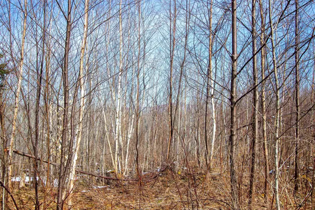 00 Long Hill Road Concord VT 05824