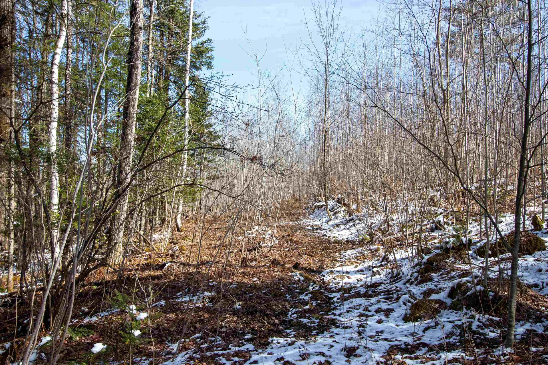 00 Long Hill Road Concord VT 05824