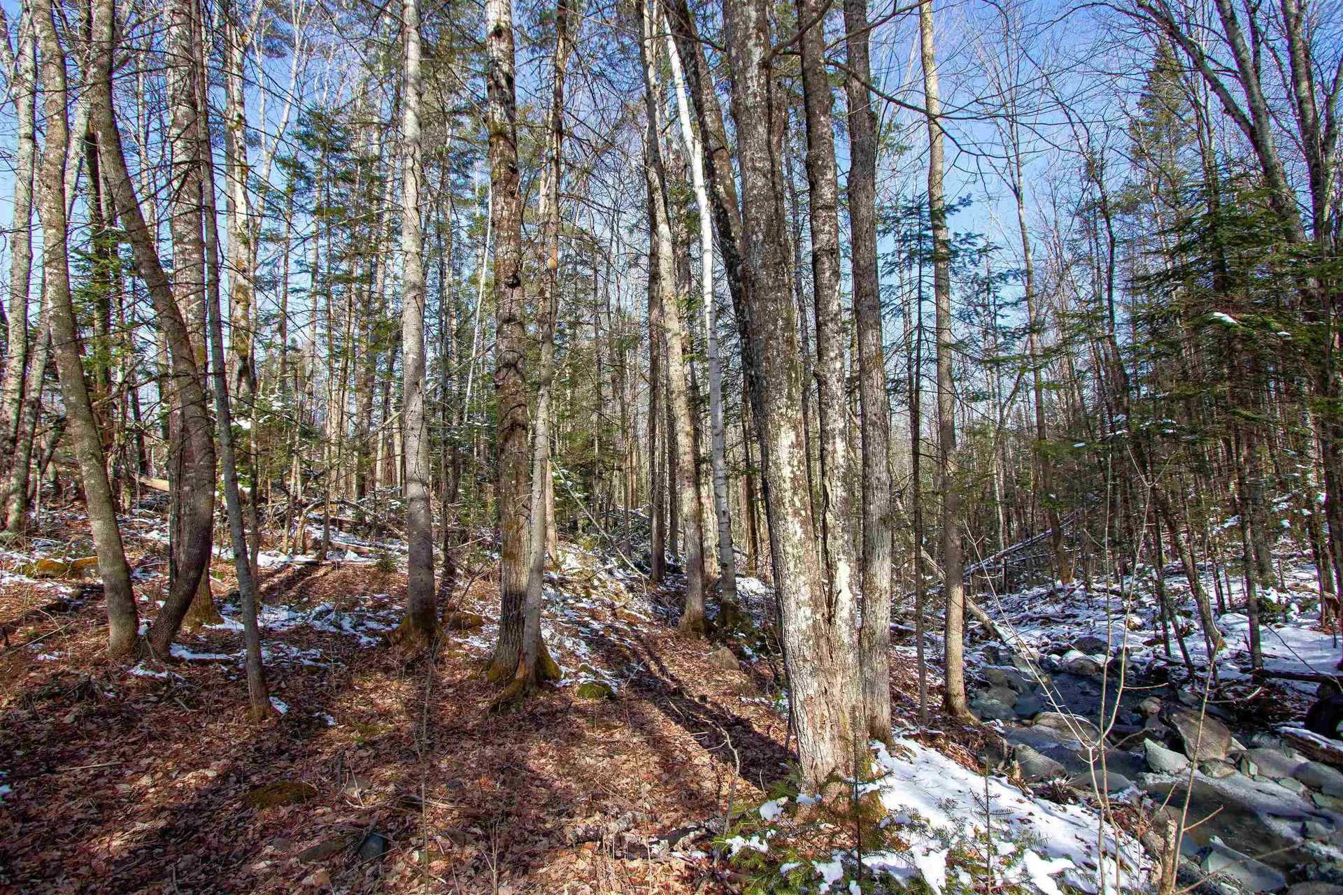 00 Long Hill Road Concord VT 05824