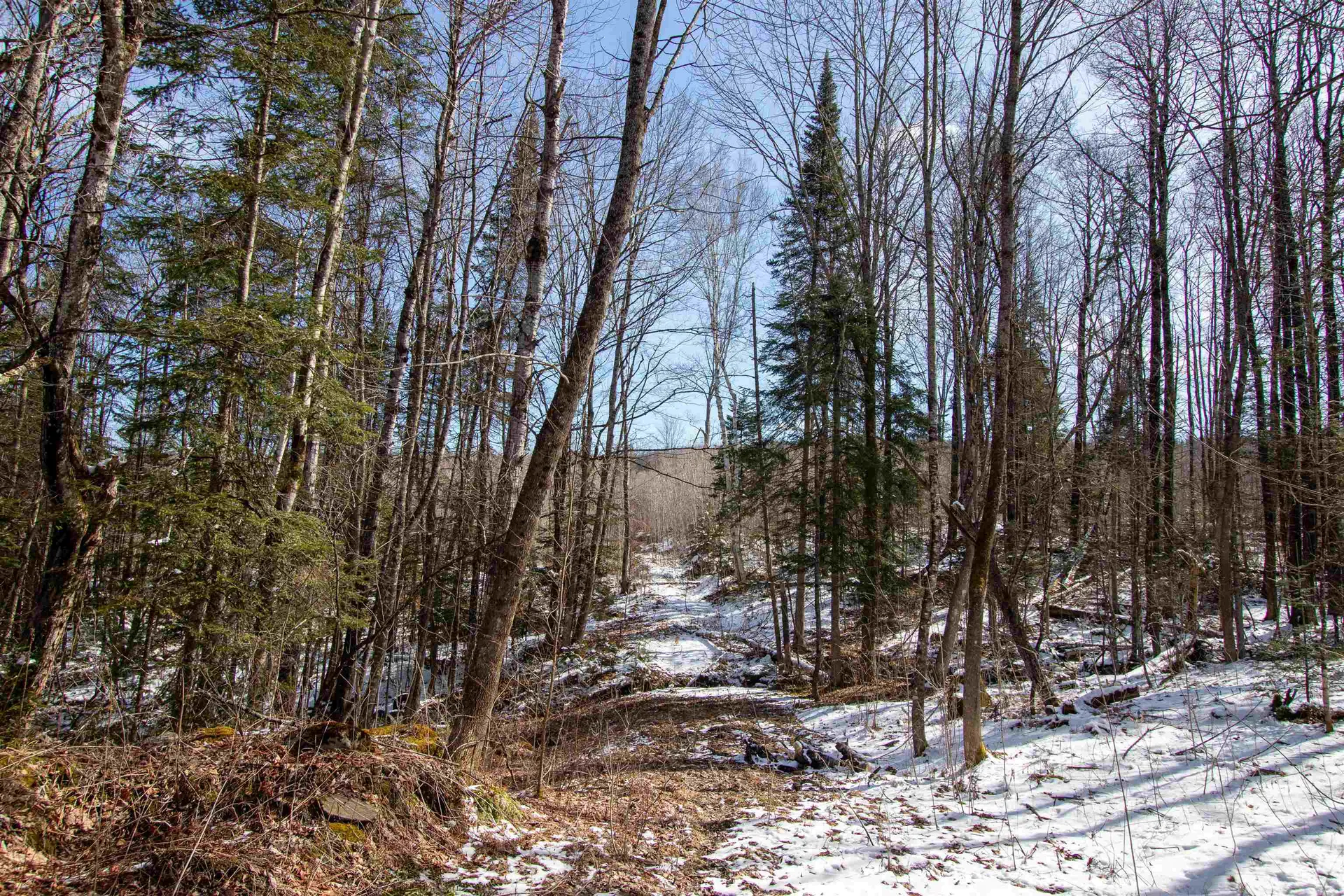 00 Long Hill Road Concord VT 05824