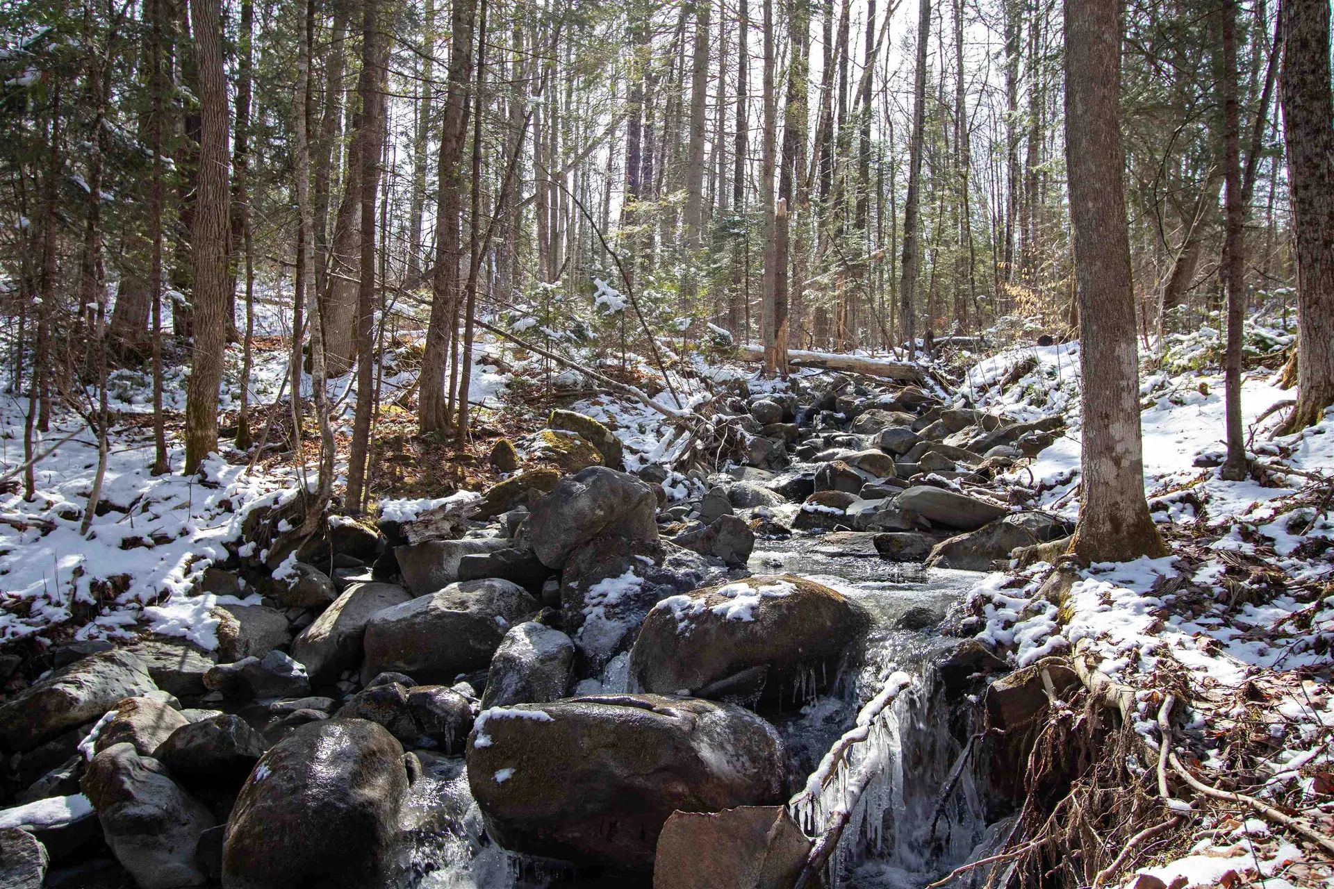 00 Long Hill Road Concord VT 05824