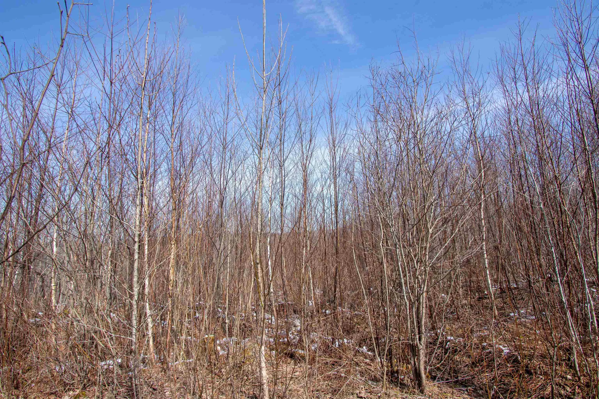 00 Long Hill Road Concord VT 05824