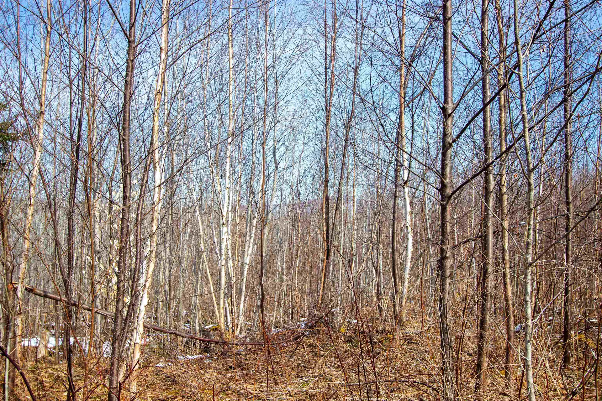 00 Long Hill Road Concord VT 05824