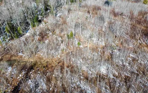 00 Long Hill Road Concord VT 05824