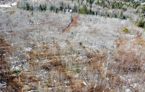 00 Long Hill Road Concord VT 05824