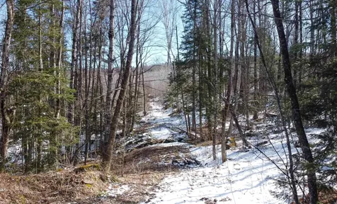 00 Long Hill Road Concord VT 05824
