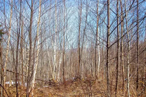 00 Long Hill Road Concord VT 05824