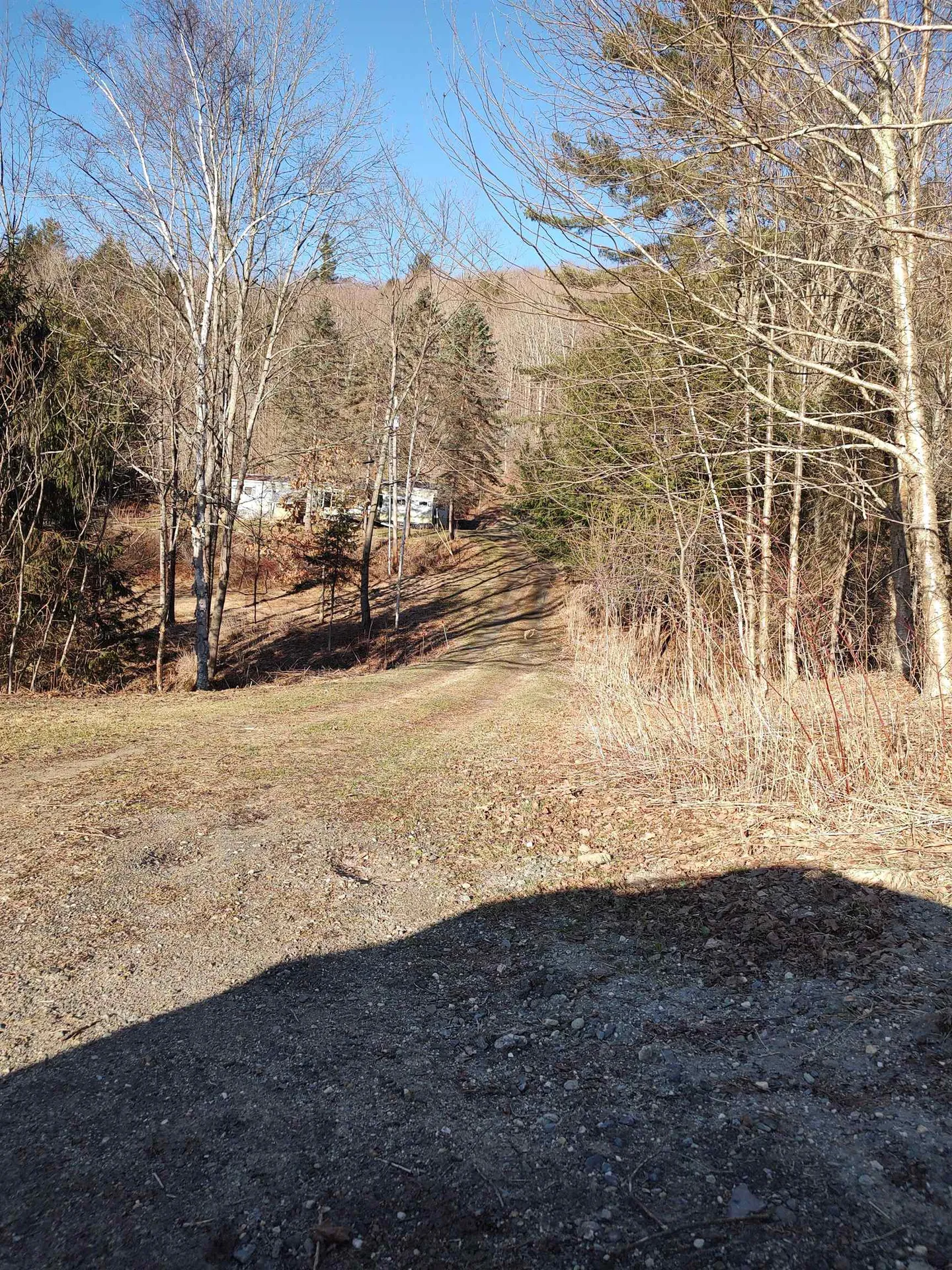 2012 Davis Road Randolph VT 05061