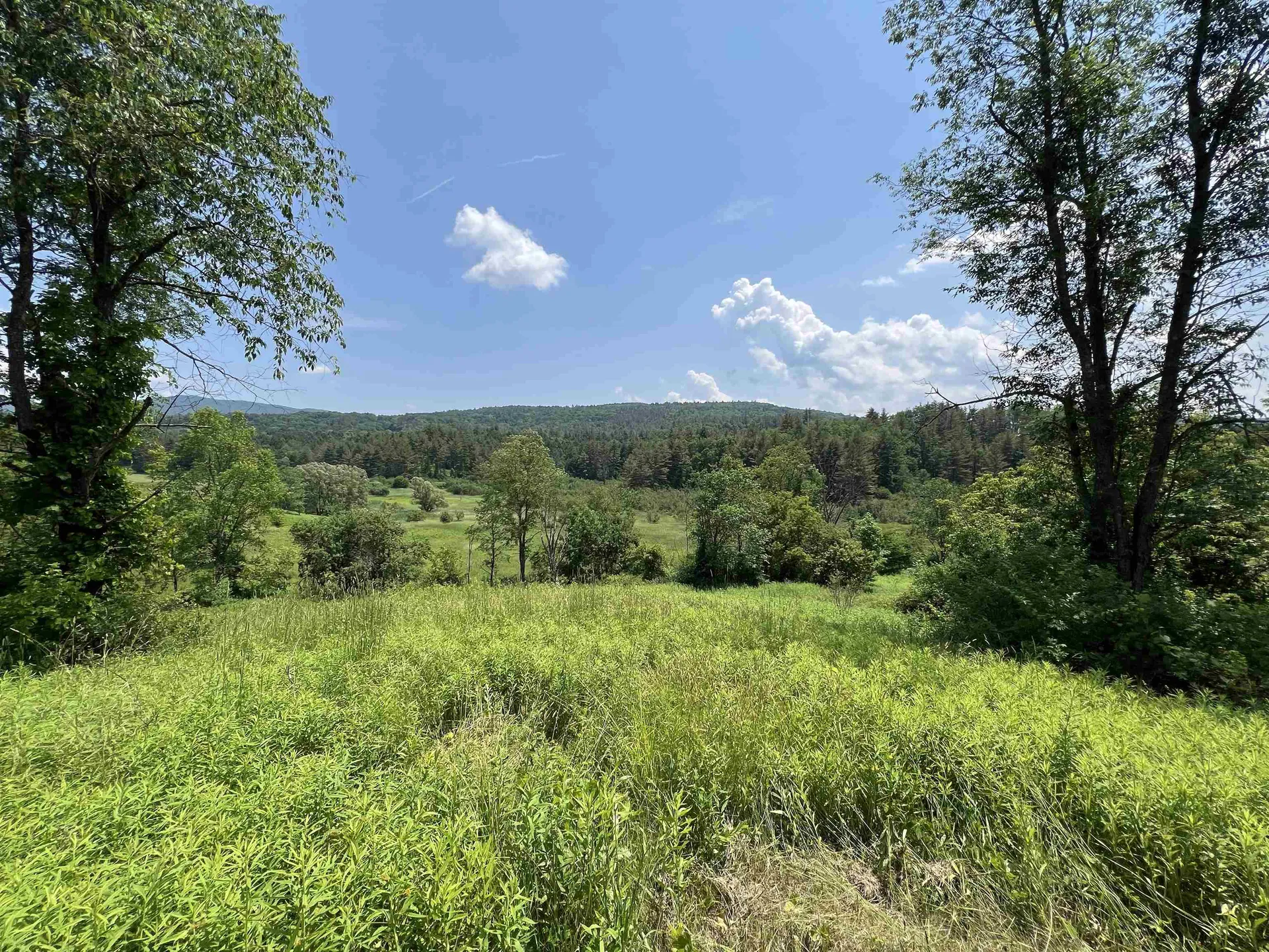 314 Lincoln Street Waterbury VT 05676