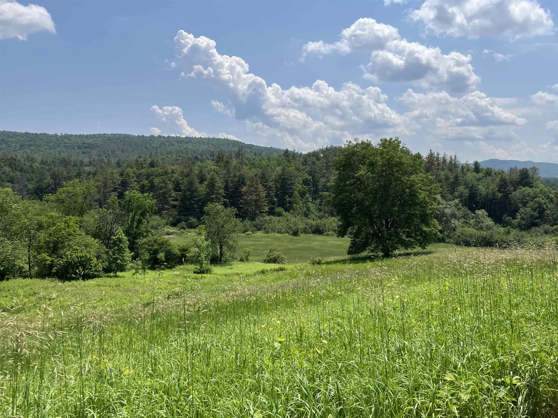 314 Lincoln Street Waterbury VT 05676