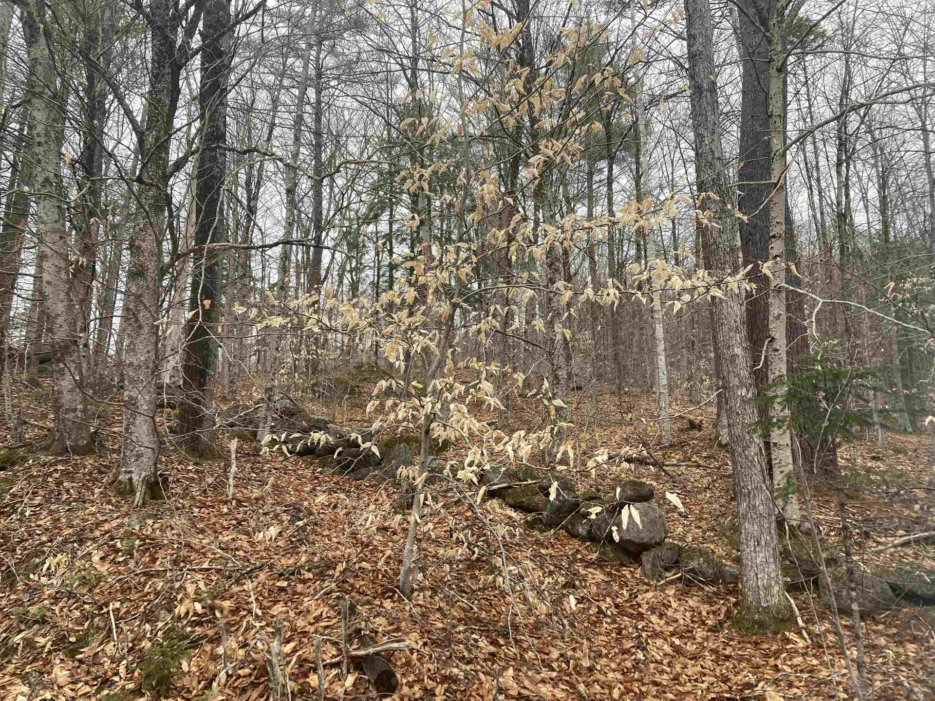 4 &5 River Road Dorchester NH 03266