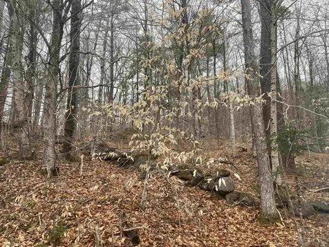 4 &5 River Road Dorchester NH 03266