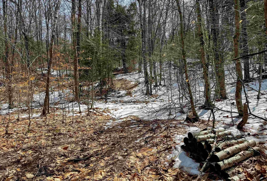 441 Tower Road Barnet VT 05821