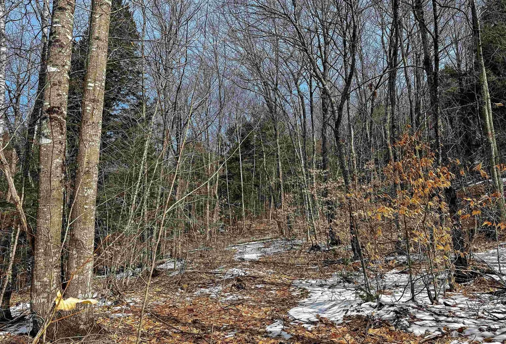 441 Tower Road Barnet VT 05821