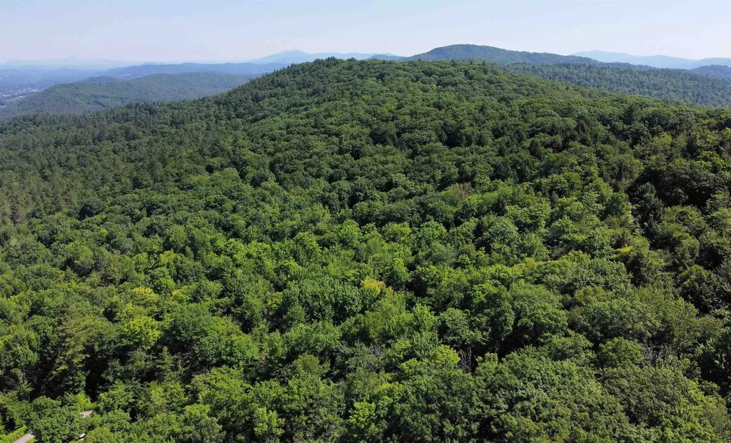 441 Tower Road Barnet VT 05821