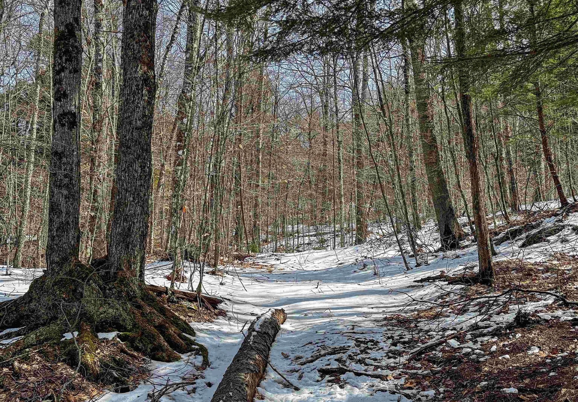 441 Tower Road Barnet VT 05821