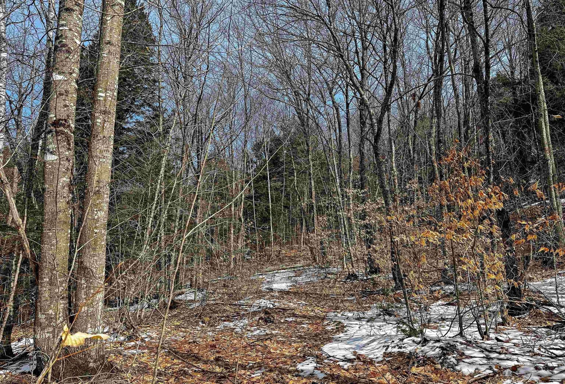 441 Tower Road Barnet VT 05821