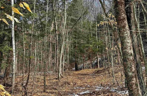 441 Tower Road Barnet VT 05821