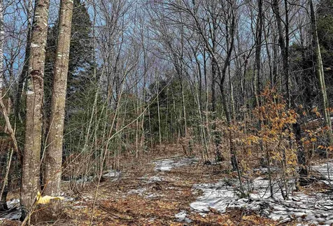 441 Tower Road Barnet VT 05821