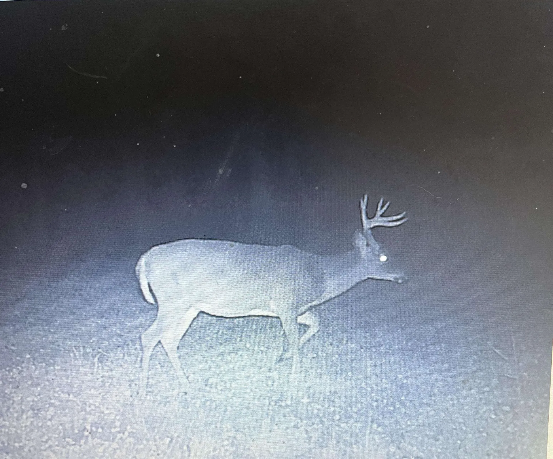 849 Mount Bess Road Charleston VT 05872