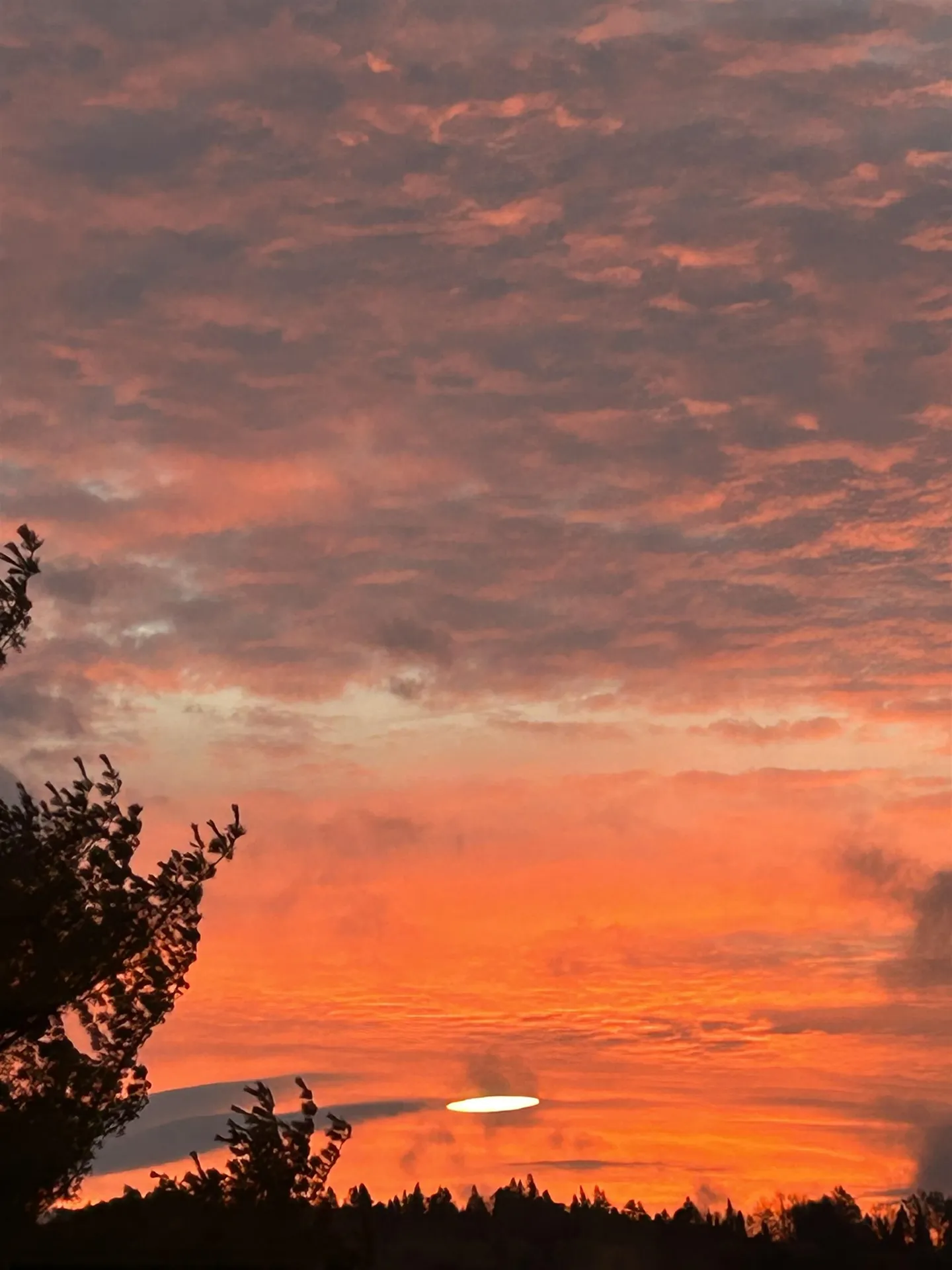 849 Mount Bess Road Charleston VT 05872