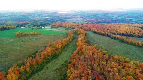 849 Mount Bess Road Charleston VT 05872