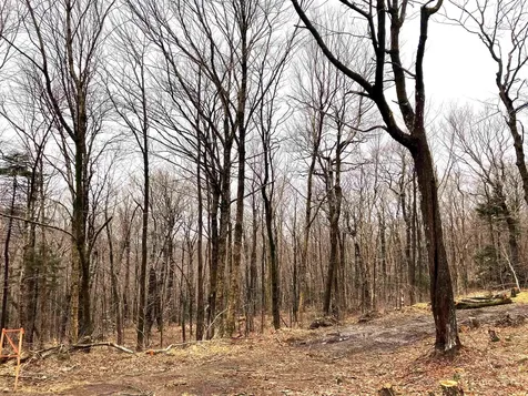 406 Fox Mount Road Wilmington VT 05363