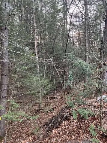 Lot 676 Weare Road Henniker NH 03242