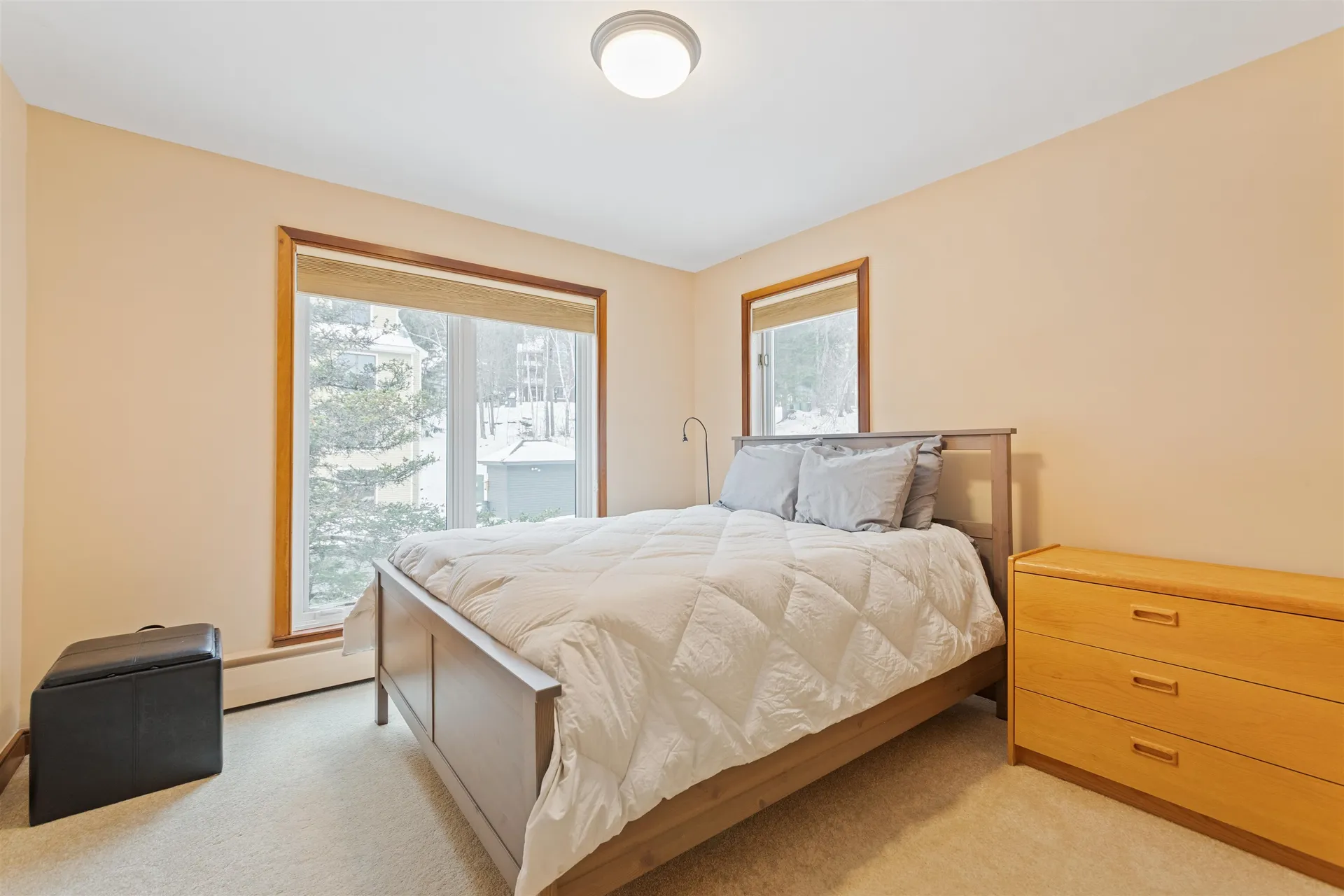 4 L Trailside Village Way Dover VT 05356