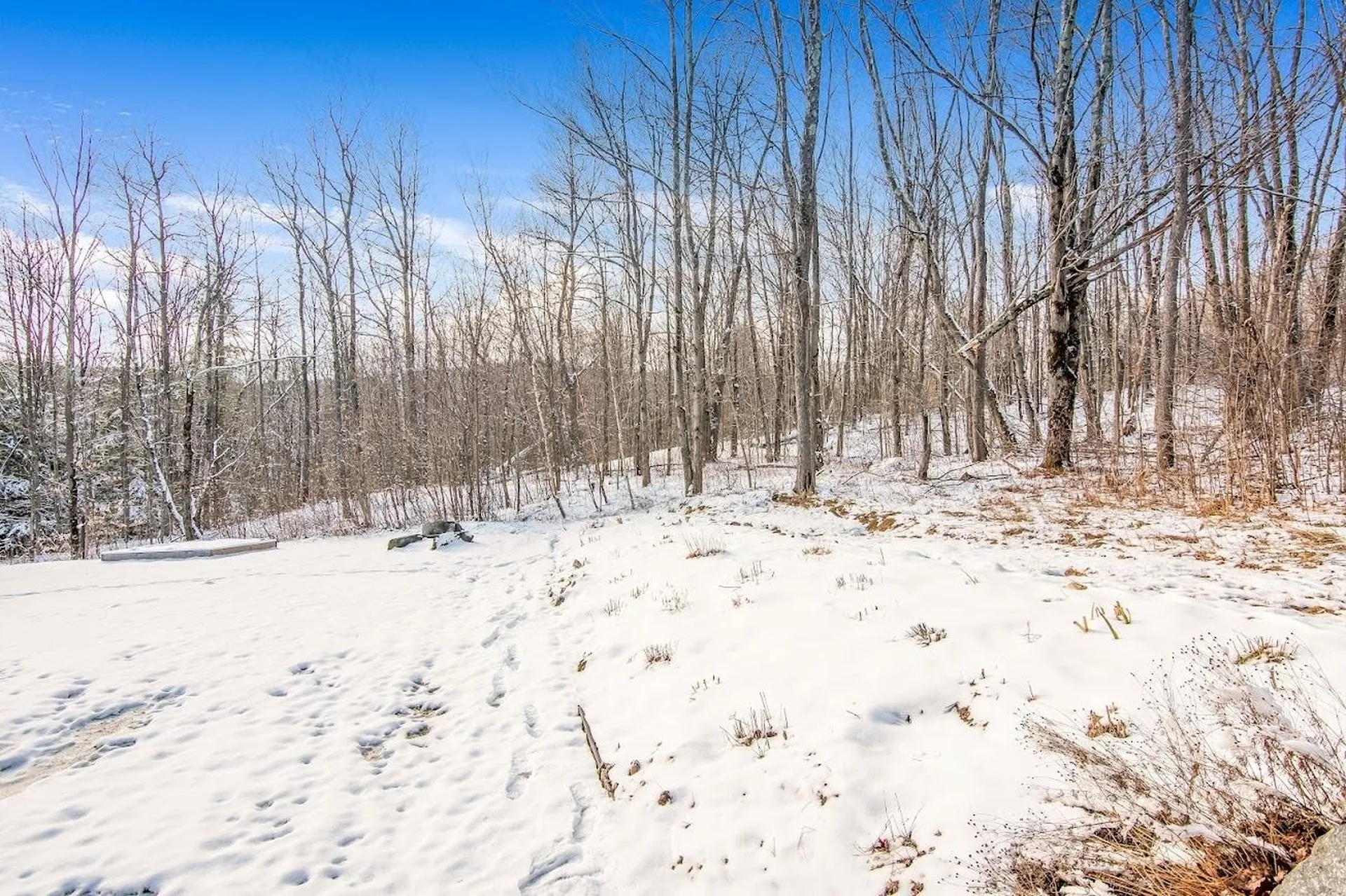 131 Birch Way Bakersfield VT 05441