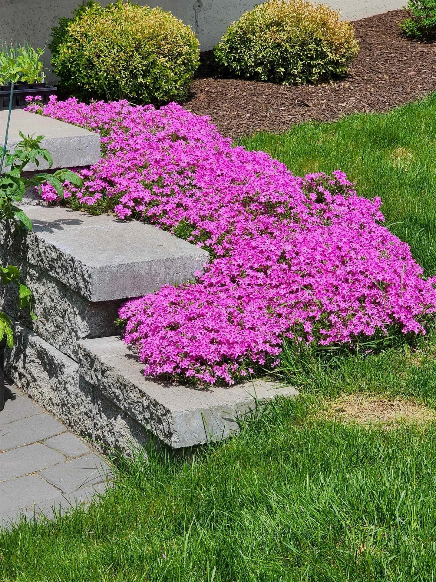 8 Strawberry Lane Hooksett NH 03106