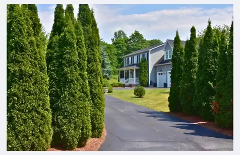 79 Butler Drive South Burlington VT 05403