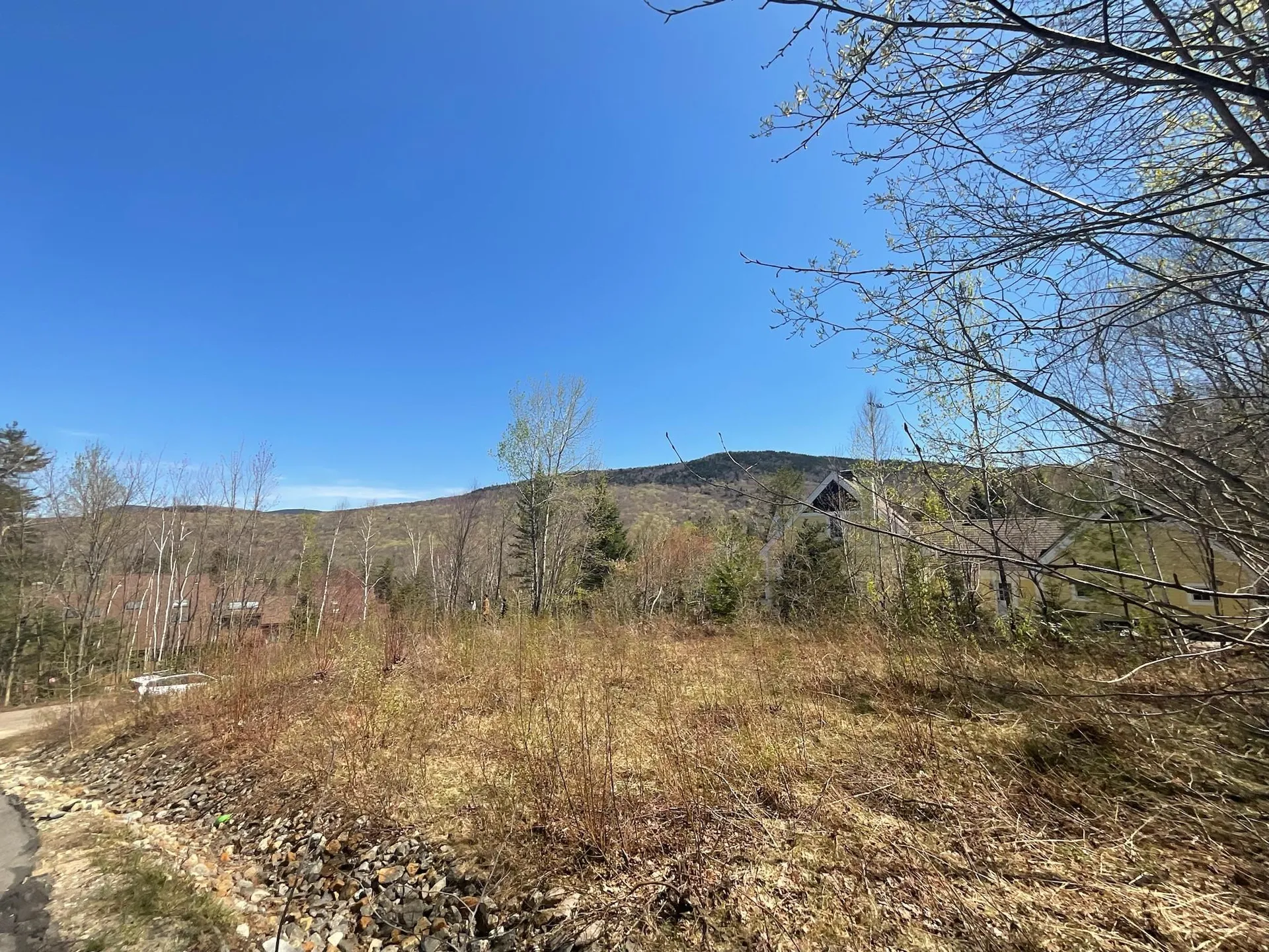 24-23 Bear Brook Lane Waterville Valley NH 03215