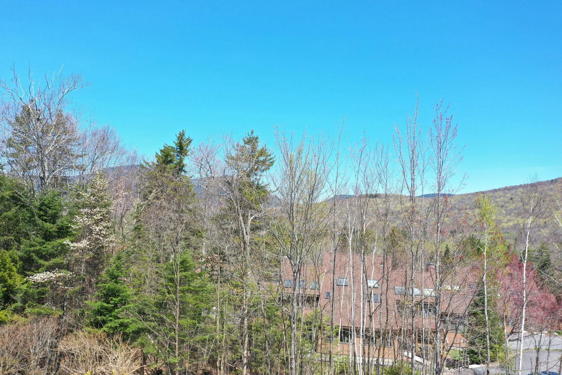 24-23 Bear Brook Lane Waterville Valley NH 03215