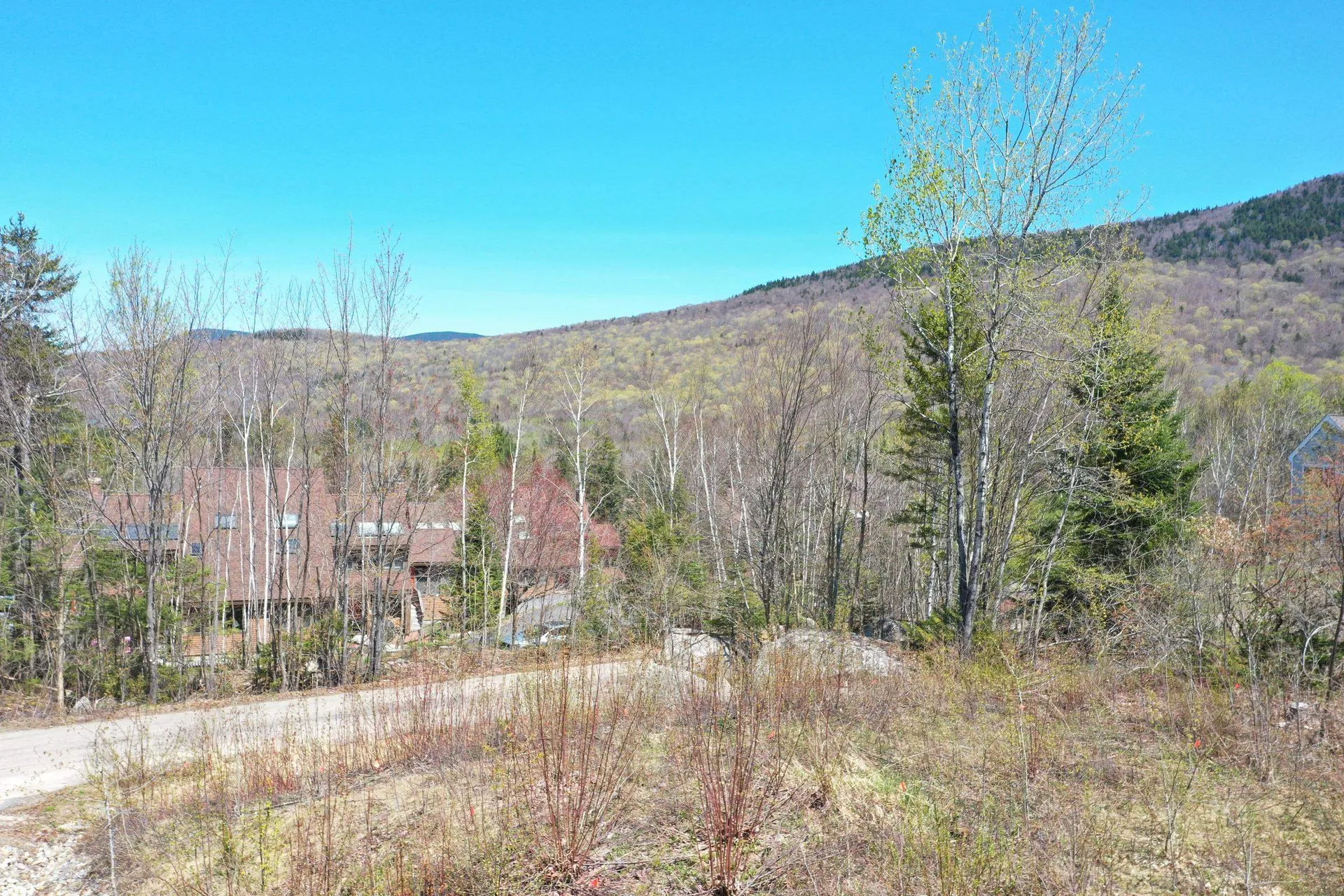 24-23 Bear Brook Lane Waterville Valley NH 03215