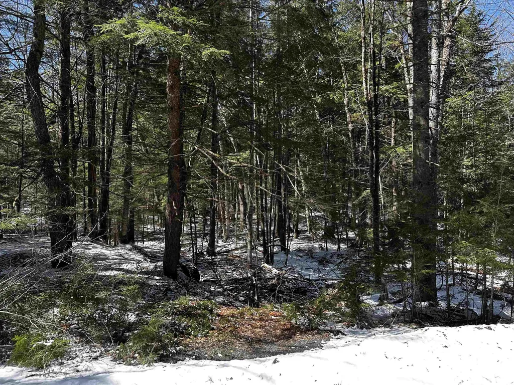 118 Pauls Place Enfield NH 03748