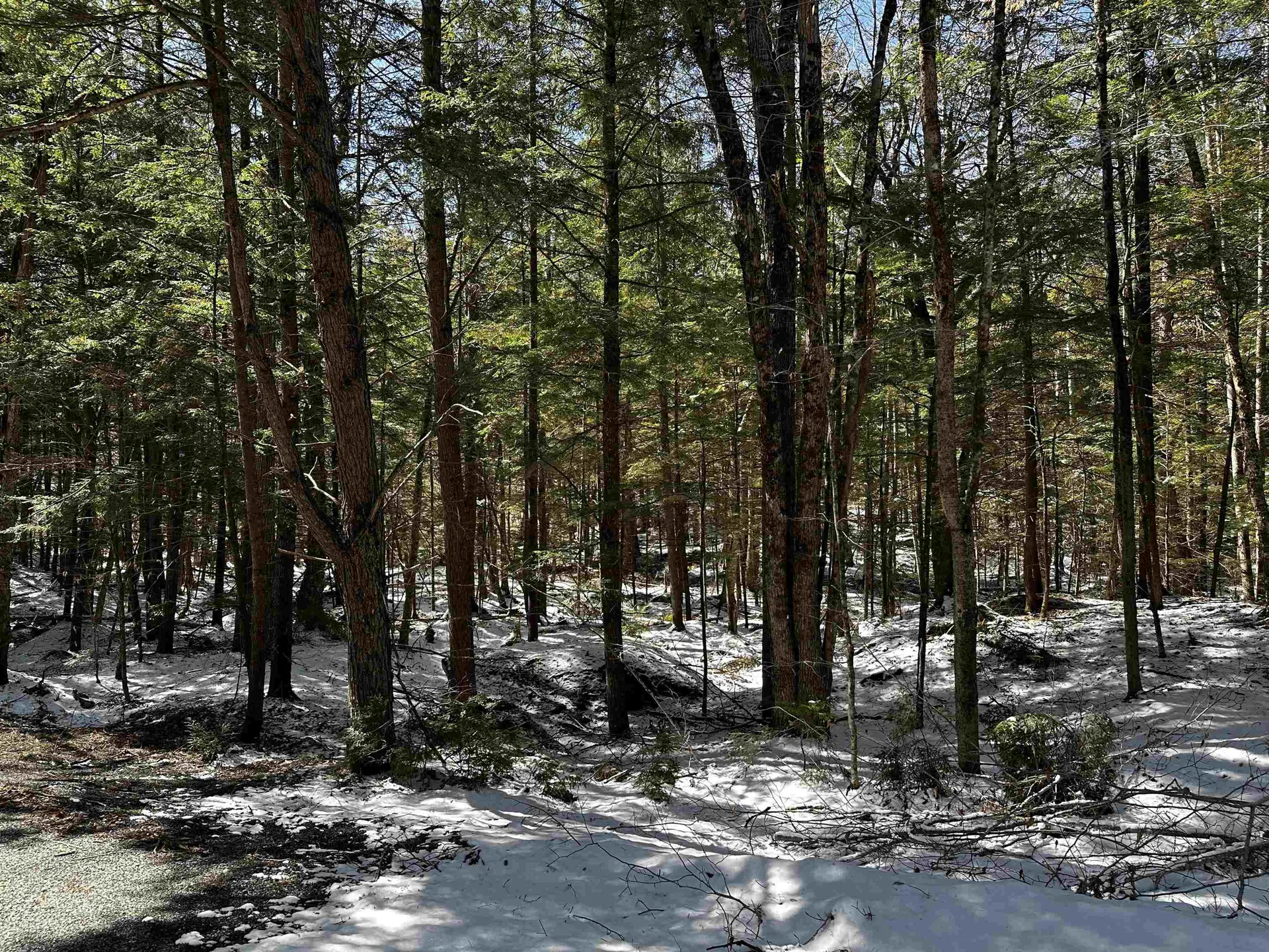 118 Pauls Place Enfield NH 03748